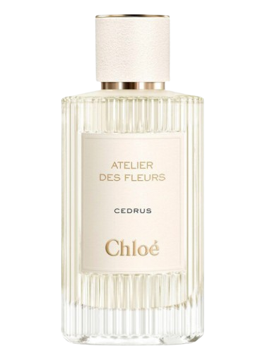 Cedrus