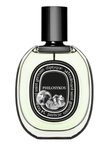 Philosykos