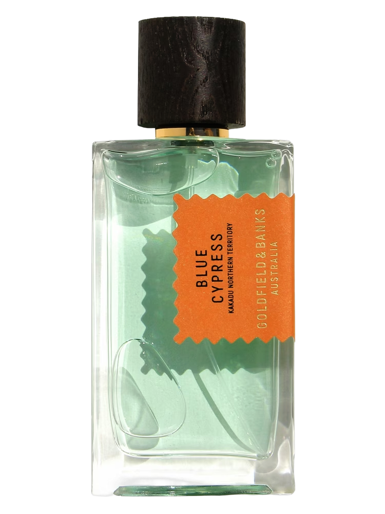 BLUE CYPRESS EDP
