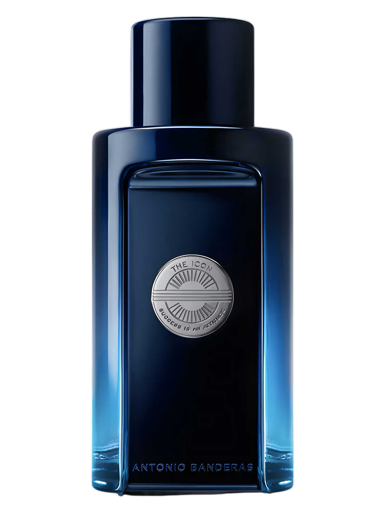 THE ICON (edt)