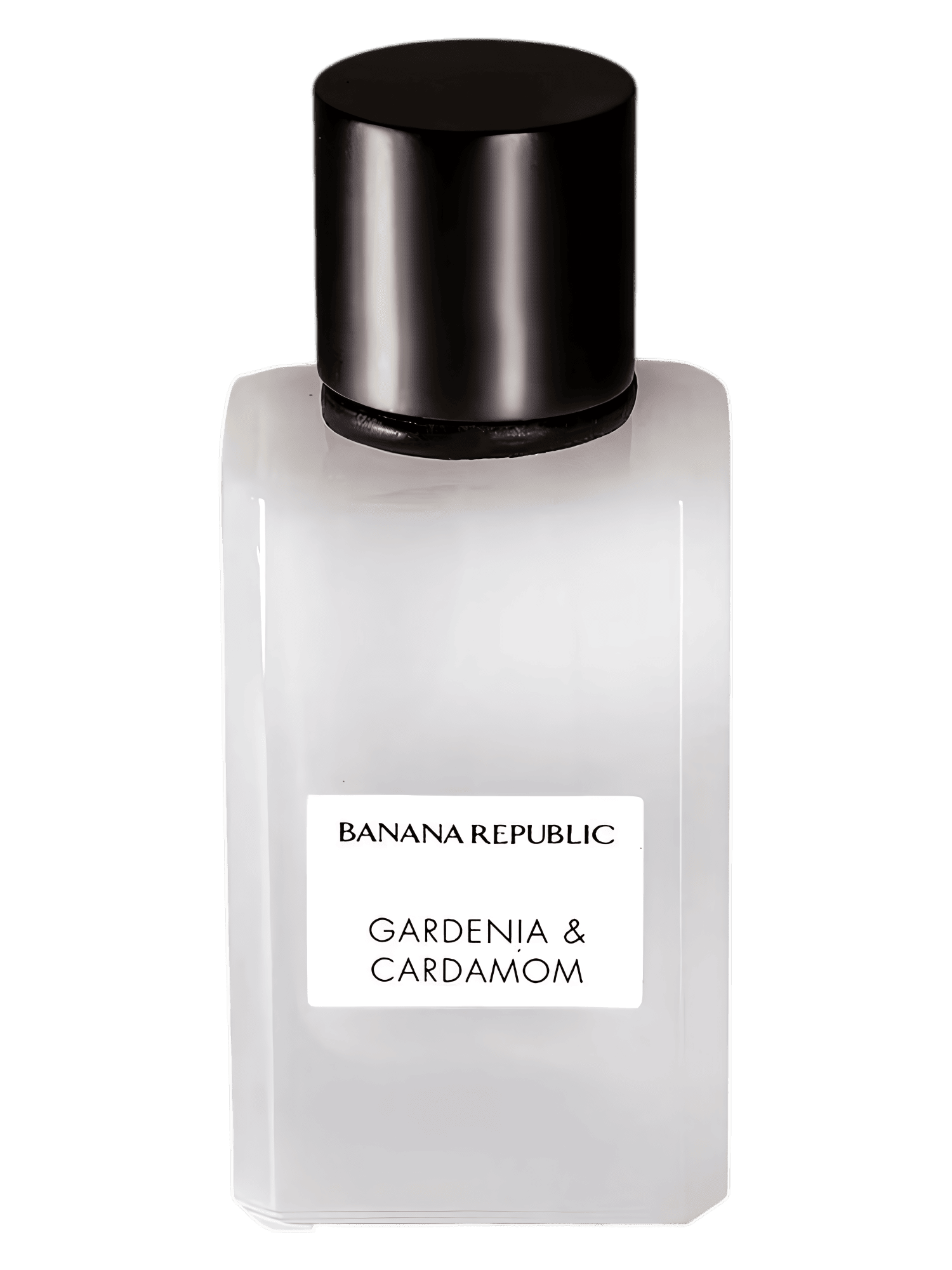 CARDAMONE EDP