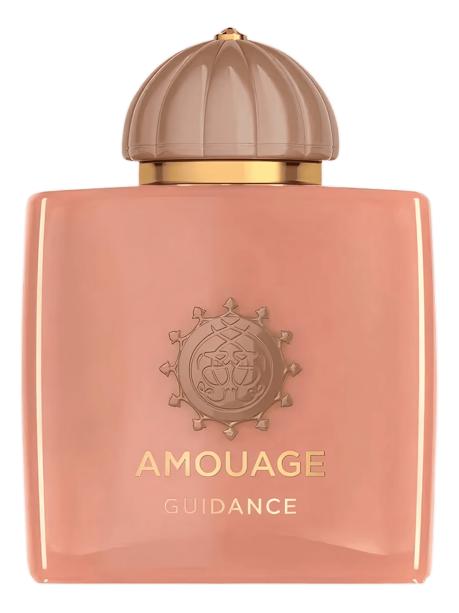 GUIDANCE EDP