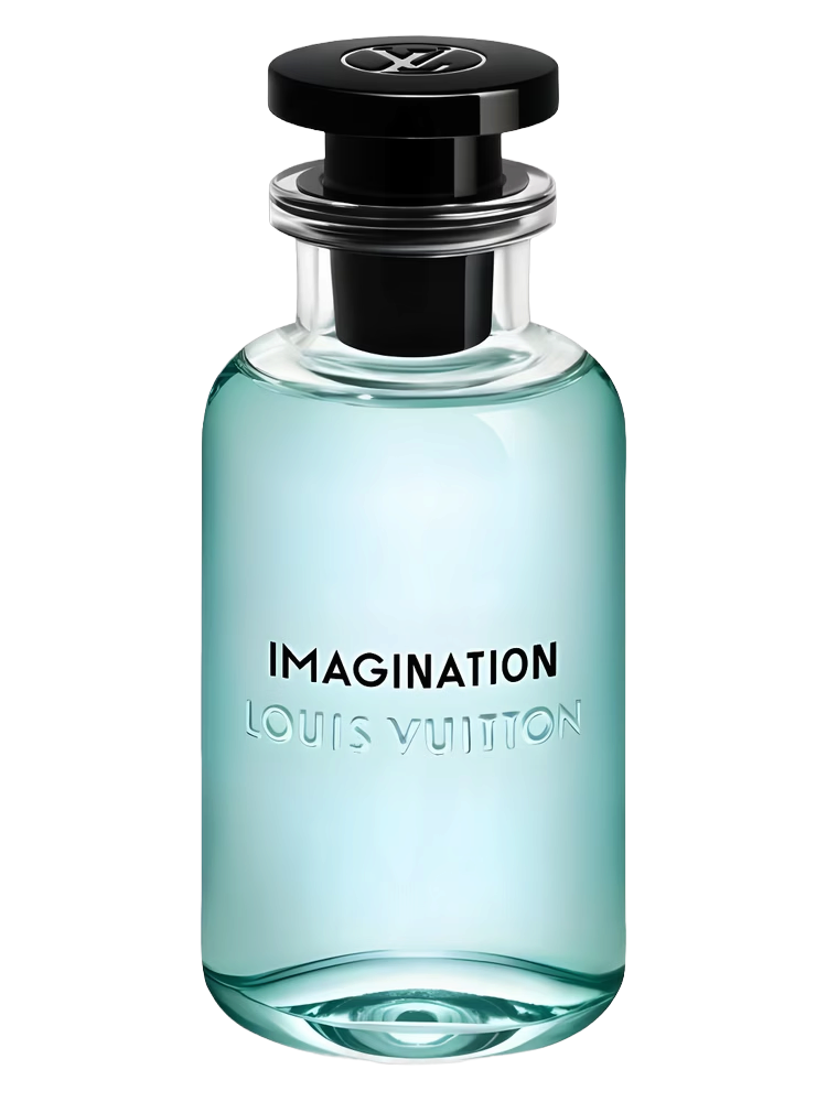 IMAGINATION EDP
