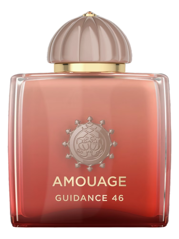 Guidance 46