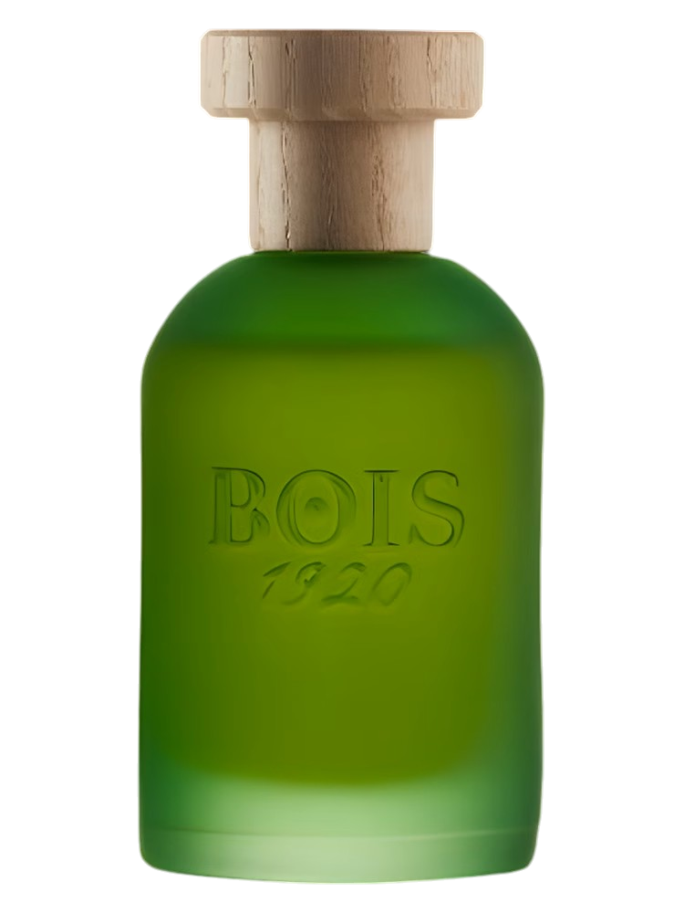 CANNABIS EDP