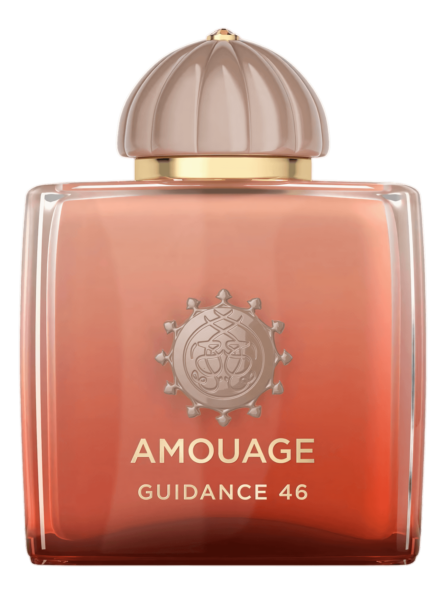 GUIDANCE 46 EDP