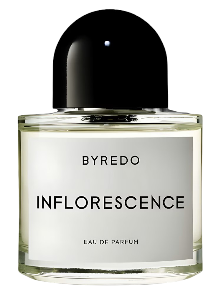 INFLORESCENCE EDP