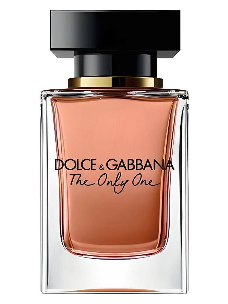 THE ONLY ONE EDP