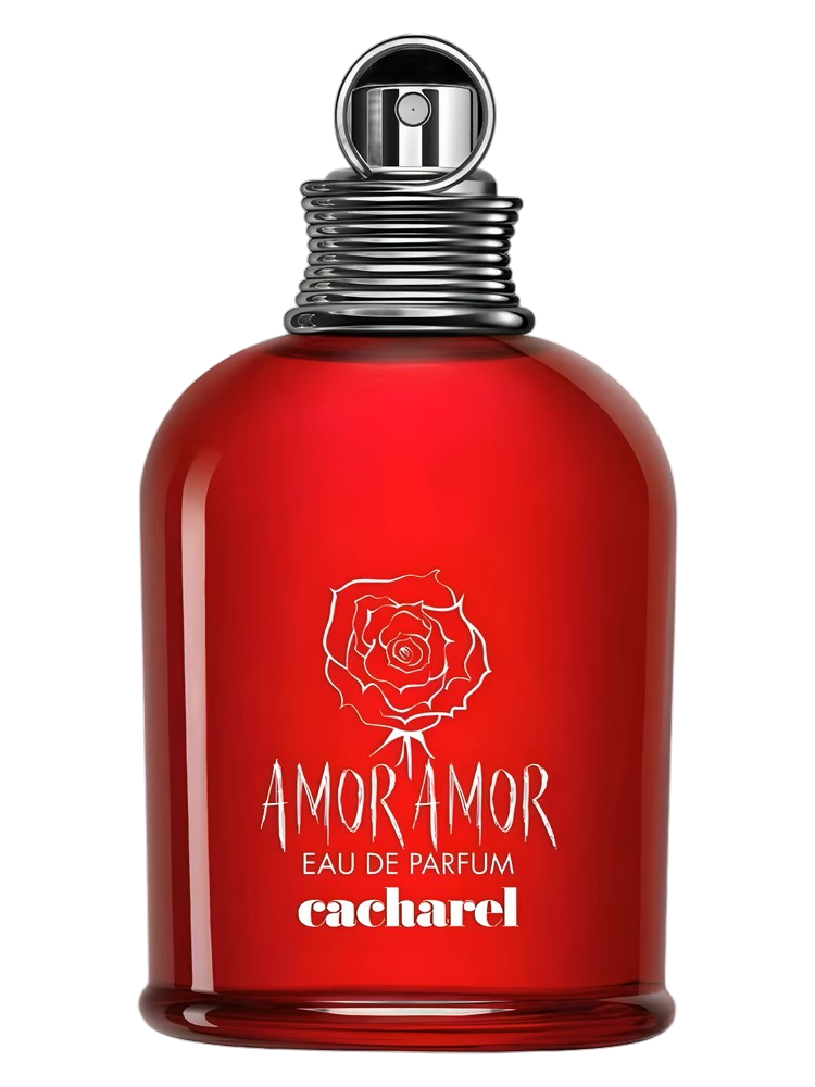 AMOR AMOR EDP
