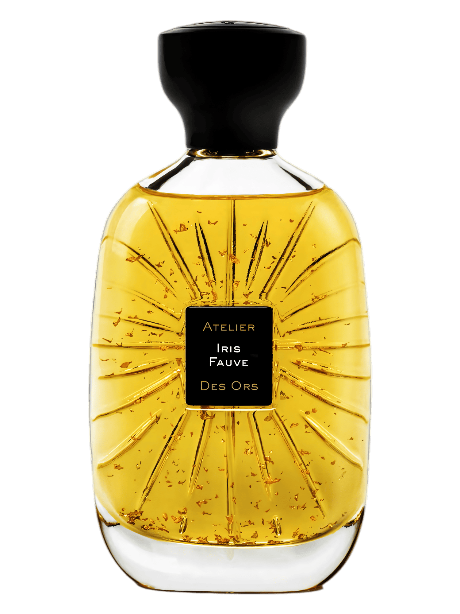 IRIS FAUVE