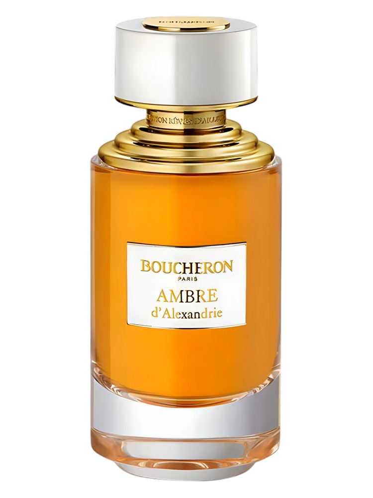AMBRE EDP