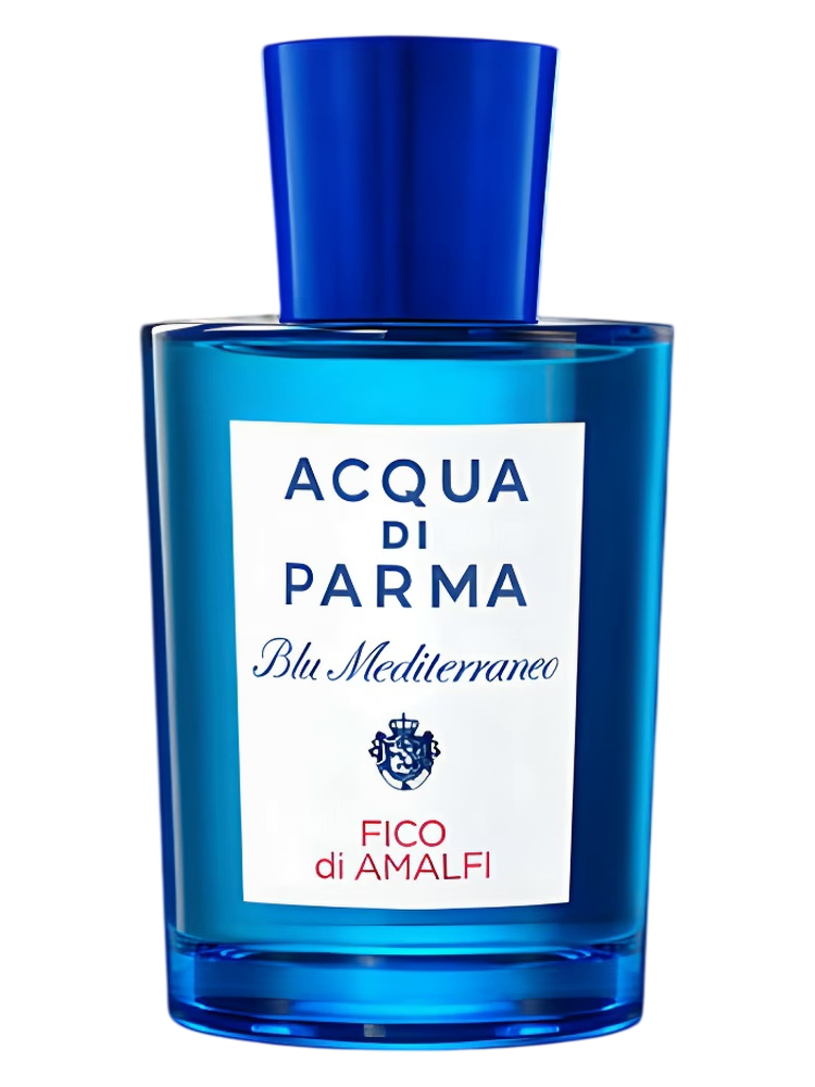 Fico di Amalfi