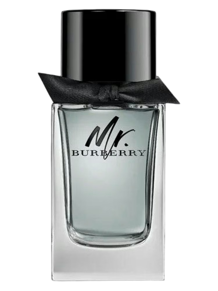 MR BURBERRY EDP