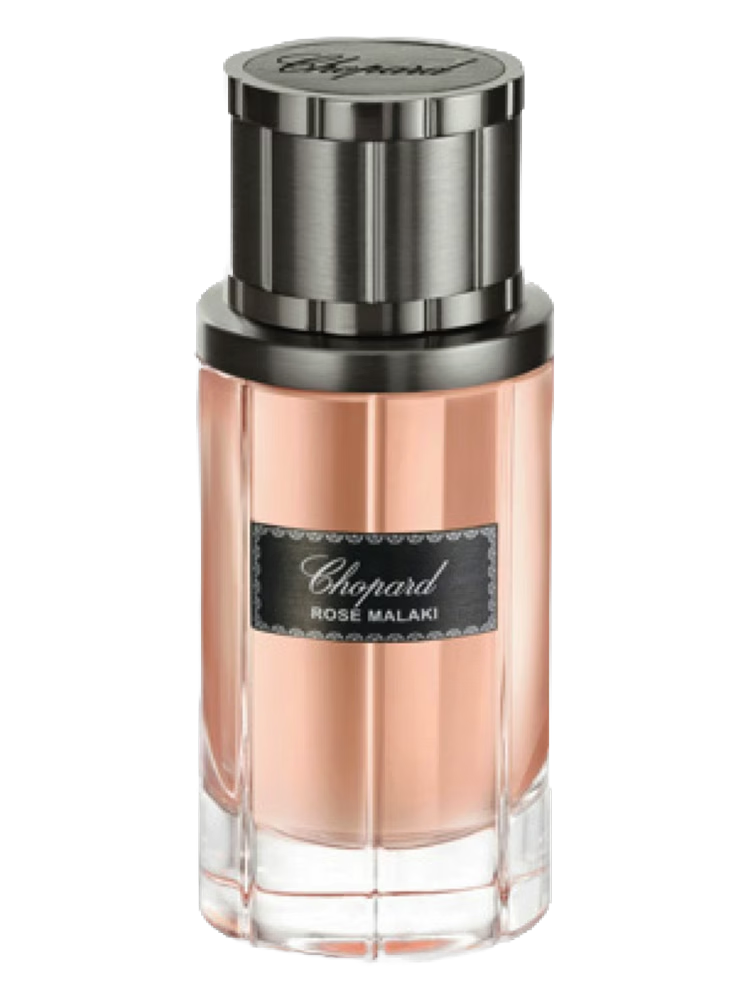ROSE MALAKI EDP